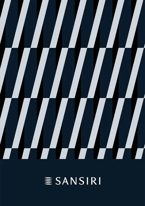 แบบฟอร์ม 56-1 2543